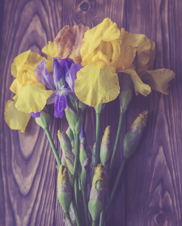 Yellow and violet irises on a wooden backgroundの写真素材