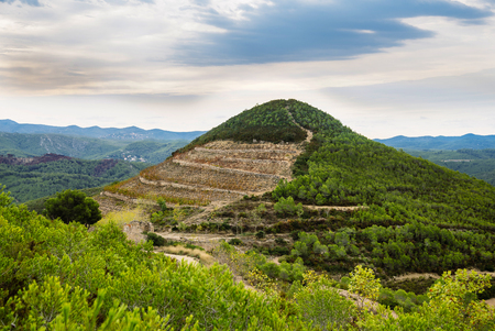 Beautiful old vineyard  against mountains and blue sky. Catalonia, Spain. Autumn dayの写真素材