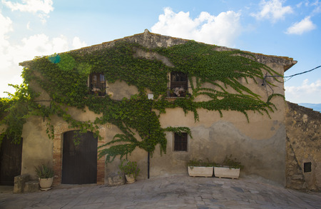 House decorated with wild vine, Spainの写真素材