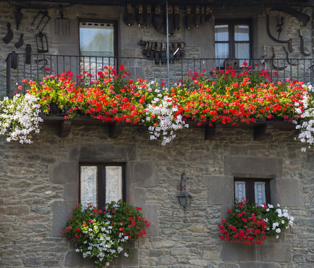 RUPIT I PRUIT, CATALONIA, SPAIN - OCTOBER 04, 2016: Windows with large red and white flowers of pelargoniumのeditorial素材