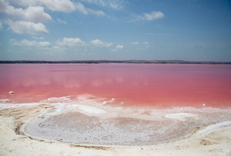 Pink salty lake and blue sky. Alicante, Torrevieja, Spain