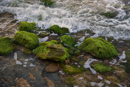 Coast of the Black Sea in Kerch. Kerch Peninsula, Crimea