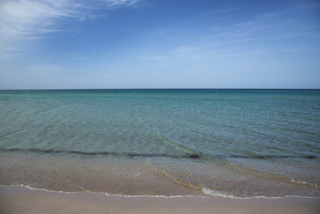 Sandy coast of the Black Sea. Olenevka, Crimea