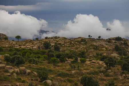 Summer landscape. Spain, Catalonia, Costa Brava
