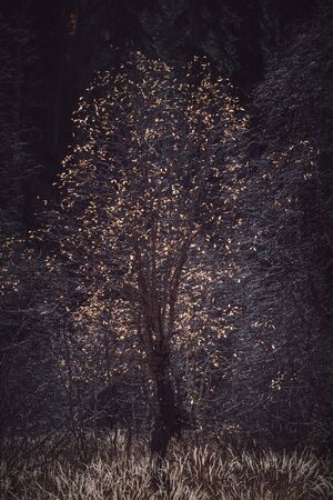Autumn in the mountains, Caucasus