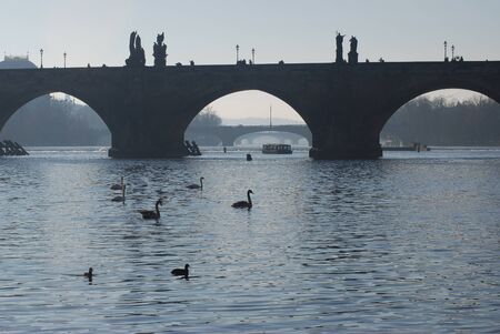 Early morning on the Vltava River. Prague, Czech Republicの写真素材