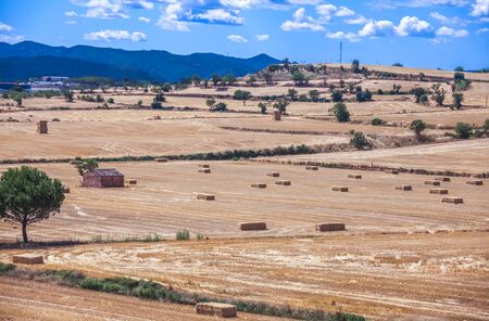 Field with straw bales. Catalonia, Spainの写真素材