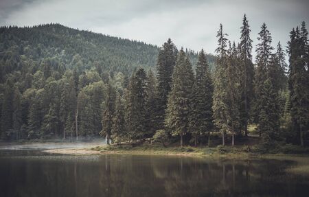 Mountain Lake Synevyr. Carpathian Mountains, Ukraineの写真素材