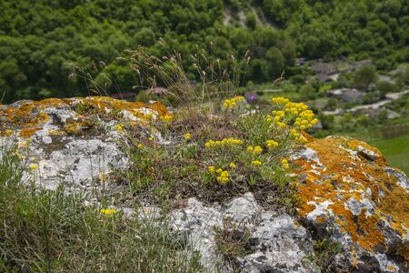 Beautiful summer landscape in Crimea