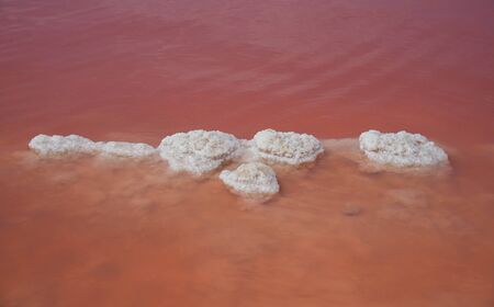 Crystals of natural salt. Pink salt lagoon in Torrevieja. Costa Blanca, province of Alicante, Spainの写真素材