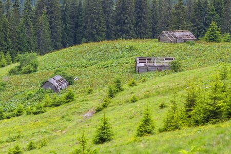 Old ruined wooden houses in the Carpathians forestの写真素材