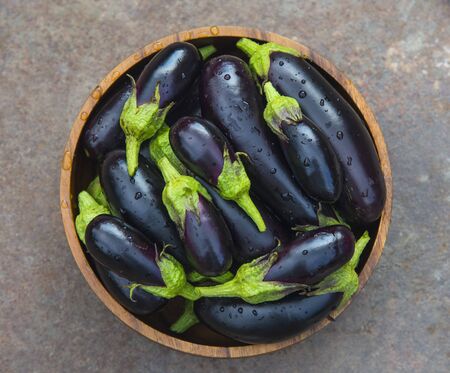 Ripe eggplant in a wooden bowl, home gardenの写真素材