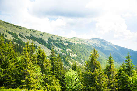 Beautiful summer landscape in Carpathian mountainsの写真素材
