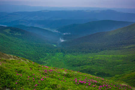 Summer landscape view from the top of Hoverla mount, Carpathians