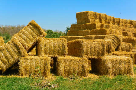 Dry hay in stack on farm field. Big haystack harvestの写真素材