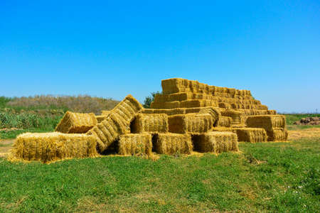 Dry hay in stack on farm field. Big haystack harvest