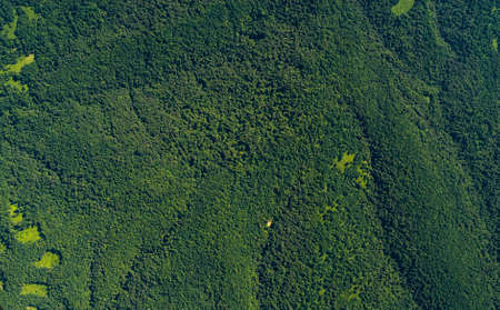Aerial top view forest trees, ecosystem and healthy environment concept and background. Krasnodar...