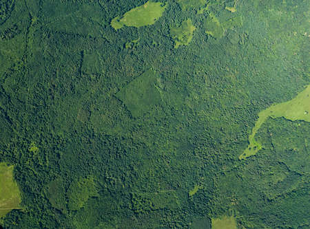 Aerial top view forest trees, ecosystem and healthy environment concept and background. Krasnodar...
