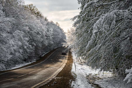Asphalt road in a winter forestの写真素材