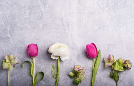 Spring flowers on the gray background. Easter and spring greeting card. woman day concept. spring...