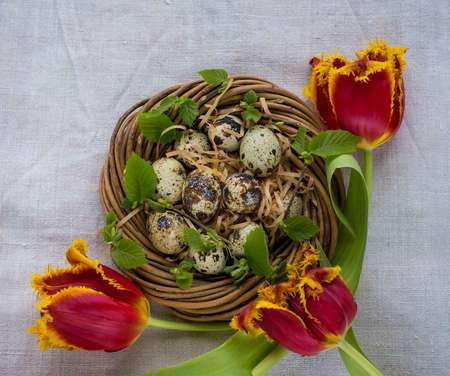 Happy Easter. Wicker basket with Easter quail eggs, space for textの写真素材