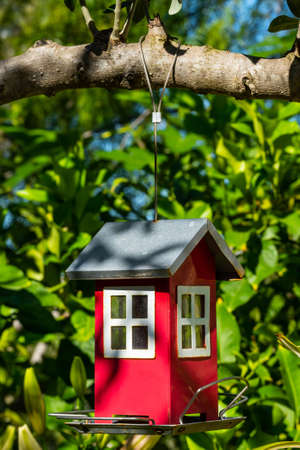 Bird feeder in the form of a house on a tree branch in the garden. bird careの写真素材