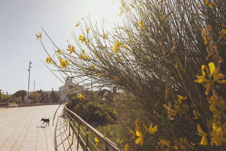 Sitges city, summer landscape, Spain