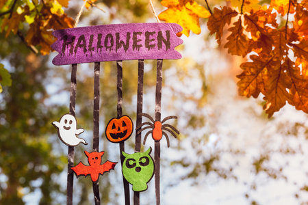 Festive Halloween decor with symbols, preparation for the holiday in the forest. Holidays, decoration and party conceptの写真素材