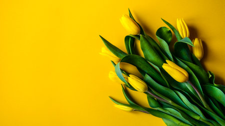 Beautiful romantic bouquet of yellow tulips on the yellow background. Congratulations on March 8, Birthday, Mother's Day, Valentine's dayの写真素材