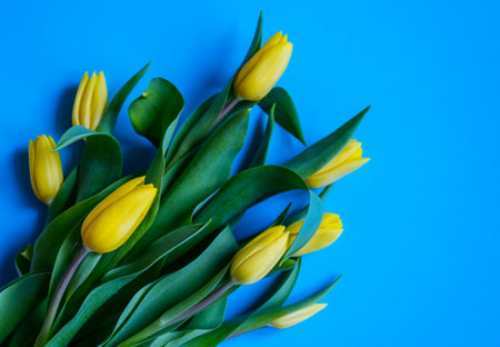 Beautiful romantic bouquet of yellow tulips. Congratulations on March 8, Birthday, Mother's Day, Valentines dayの写真素材