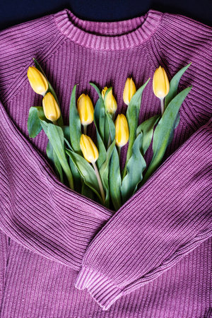 Bouquet of yellow tulips on background knitted sweater with place for text. Top view, bouquet of yellow tulips for womens day, concept of spring flowersの写真素材