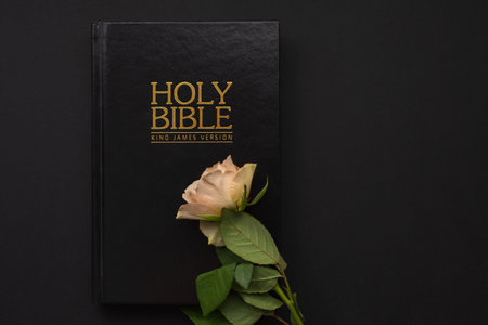 Holy Bible and white rose on the black background. Christian concept, copy spaceの写真素材