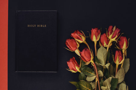 Holy Bible and red rose on the black background. Christian concept, copy spaceの写真素材