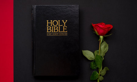 Holy Bible and red rose on the black and red background. Christian concept, faith for christian people. Copyspaceの写真素材