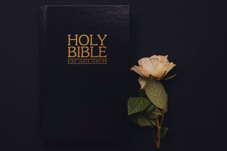 Holy Bible and white rose on the black background. Christian concept, copy spaceの写真素材