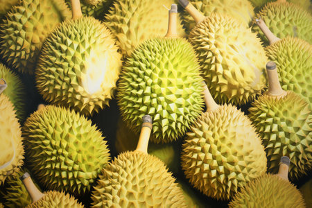 Durians fruits at a marketの素材