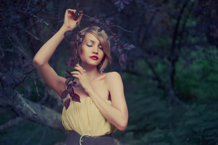 Photo of young beautiful lady in fairy forestの写真素材