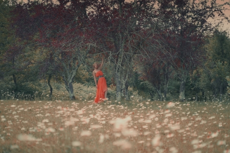 Photo of young beautiful lady in fairy forestの写真素材