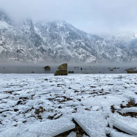 Wildlife is especially ruthless during the winter season.の写真素材