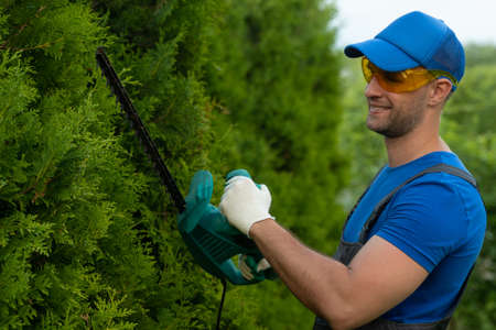 A male gardener wearing safety glasses cuts and shapes a thuja hedge with an electric trimmer