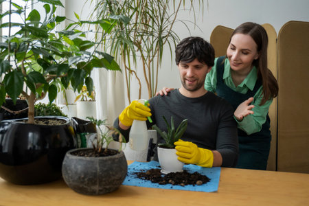 Cheerful young couple of gardeners, smiling at each other, are transplanting houseplants at homeの写真素材