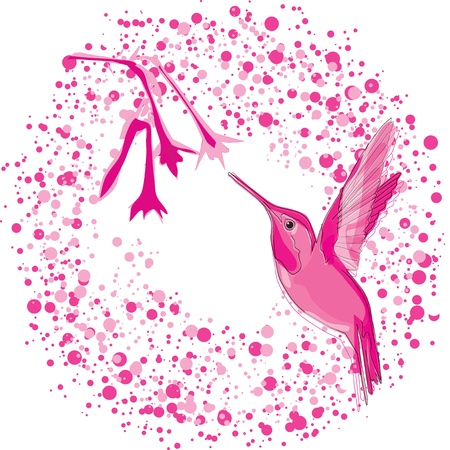 hummingbird flies to the flowerのイラスト素材