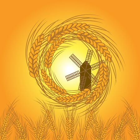 wheat vectorのイラスト素材