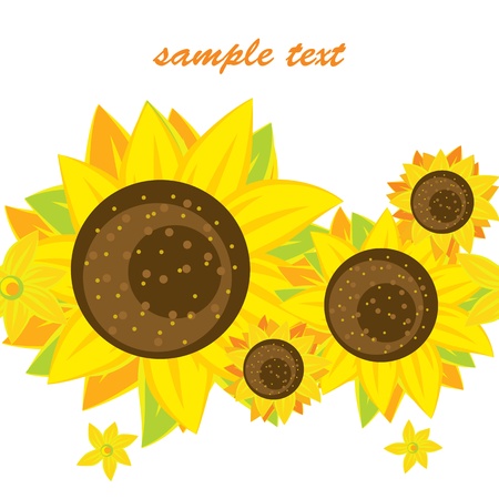 Vector background of bright sunflowersのイラスト素材