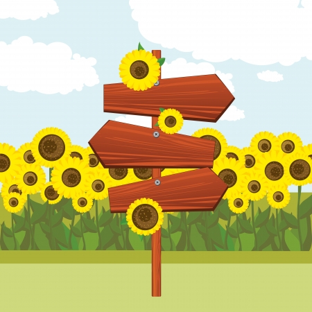 Wooden signs and a field of sunflowersのイラスト素材