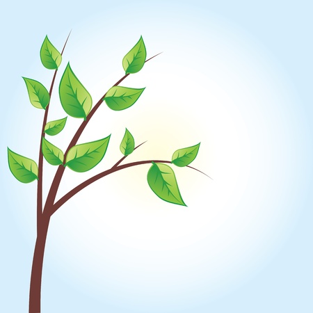 Vector green tree, green leavesのイラスト素材