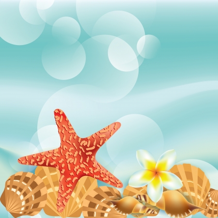vector abstract background with sea shellsのイラスト素材