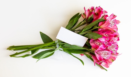 Alstroemeria flowersの写真素材