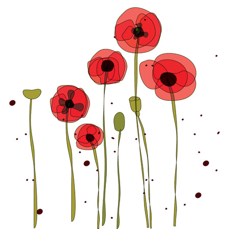 vector illustration of red poppiesのイラスト素材