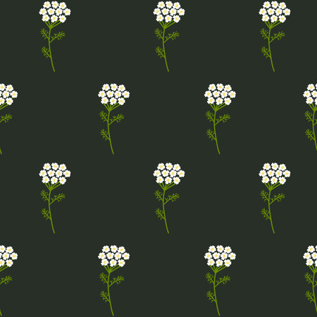 Vector seamless floral pattern. Wild flowers yarrow. Flowers on a dark background.のイラスト素材